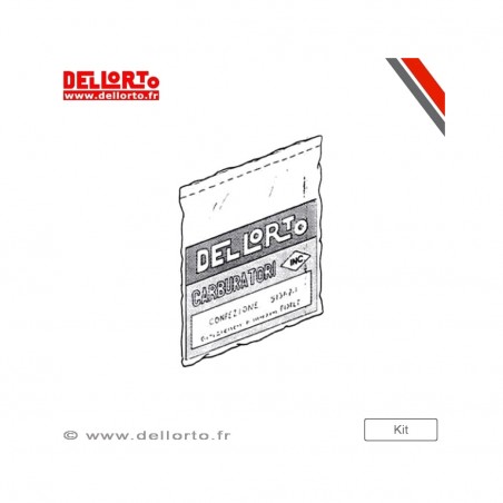 DELLORTO Original electronic control unit 45KM/H ECU ECS 1126960