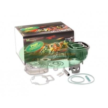 TOP PERFORMANCES Iron cylinder kit 71CC Ø48MM C39,3MM - PIAGGIO / GILERA LC TROPHY 1127348