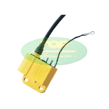 TOP PERFORMANCES Electronic control unit with fixed ignition advance for six coils 1127357