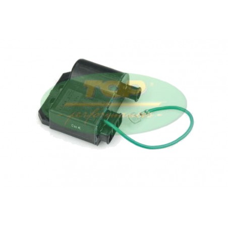 TOP PERFORMANCES electronic control unit CDI 1127358