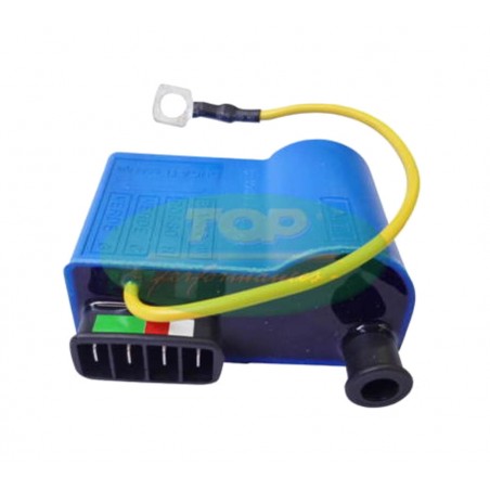 TOP PERFORMANCES electronic control unit CDI 1127811