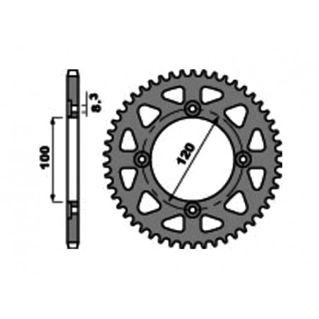 PBR Standard steel crown 4453 - PASO 420 1075327003