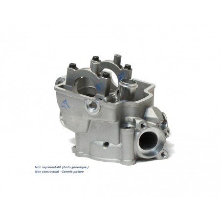 CYLINDER WORKS Original engine head OEM 1019019