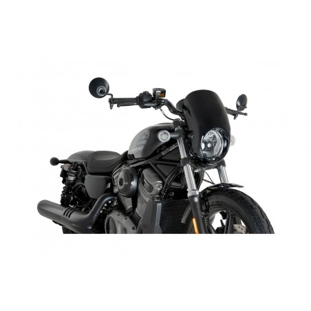 PUIG Semicarenado completo cupula y carcasa ANARCHY 21956