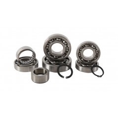 HOT RODS Transmission bearing kit 1121662