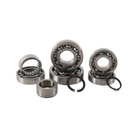 HOT RODS Transmission bearing kit 1121662