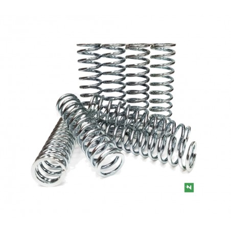 NEWFREN Clutch spring kit 1128080