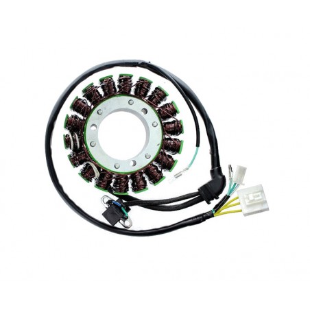 ELECTROSPORT Alternator coil stator ESG 168 1140056
