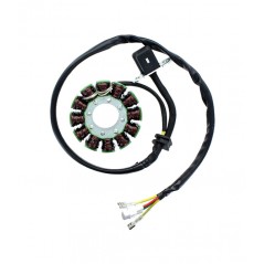 ELECTROSPORT Estator bobina alternador ESG 169 1140057