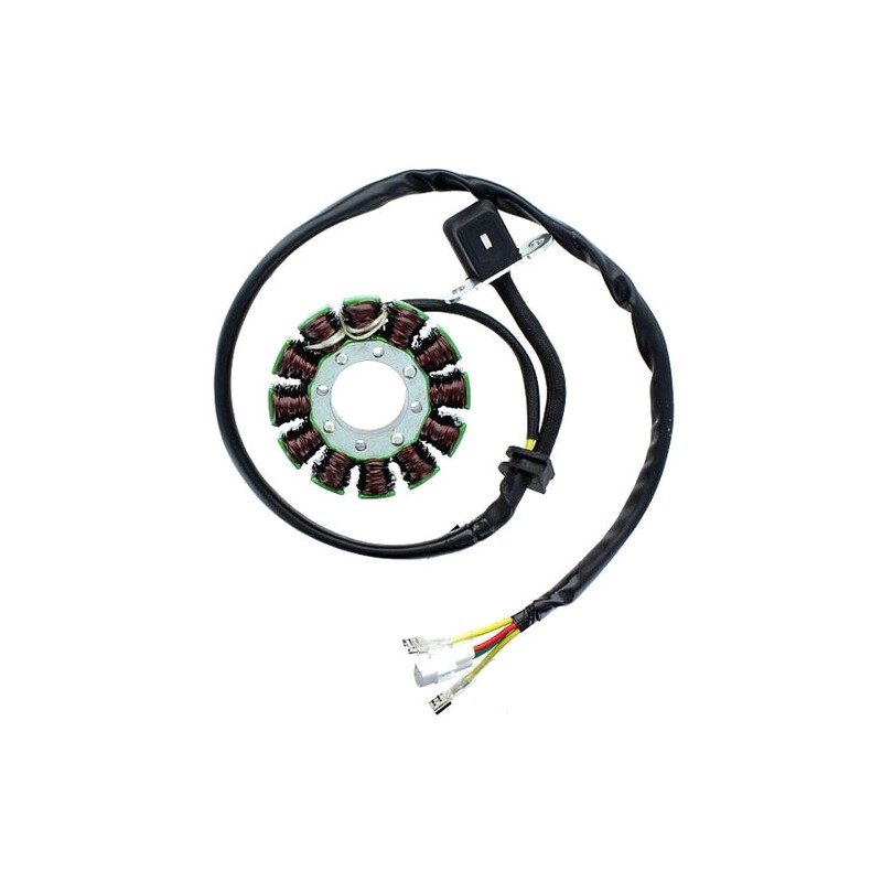 ELECTROSPORT Estator bobina alternador ESG 169 1140057