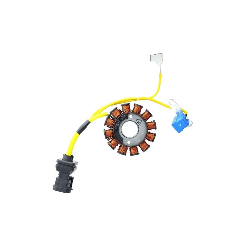 ELECTROSPORT Alternator coil stator ESG 194 1140058
