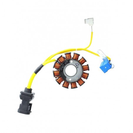 ELECTROSPORT Alternator coil stator ESG 194 1140058