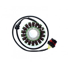 ELECTROSPORT Alternator coil stator ESG 306 1140061