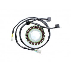 ELECTROSPORT Estator bobina alternador ESG 657 1140067