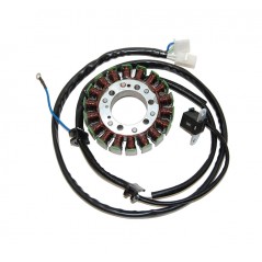 ELECTROSPORT Alternator coil stator ESG 733 1140068