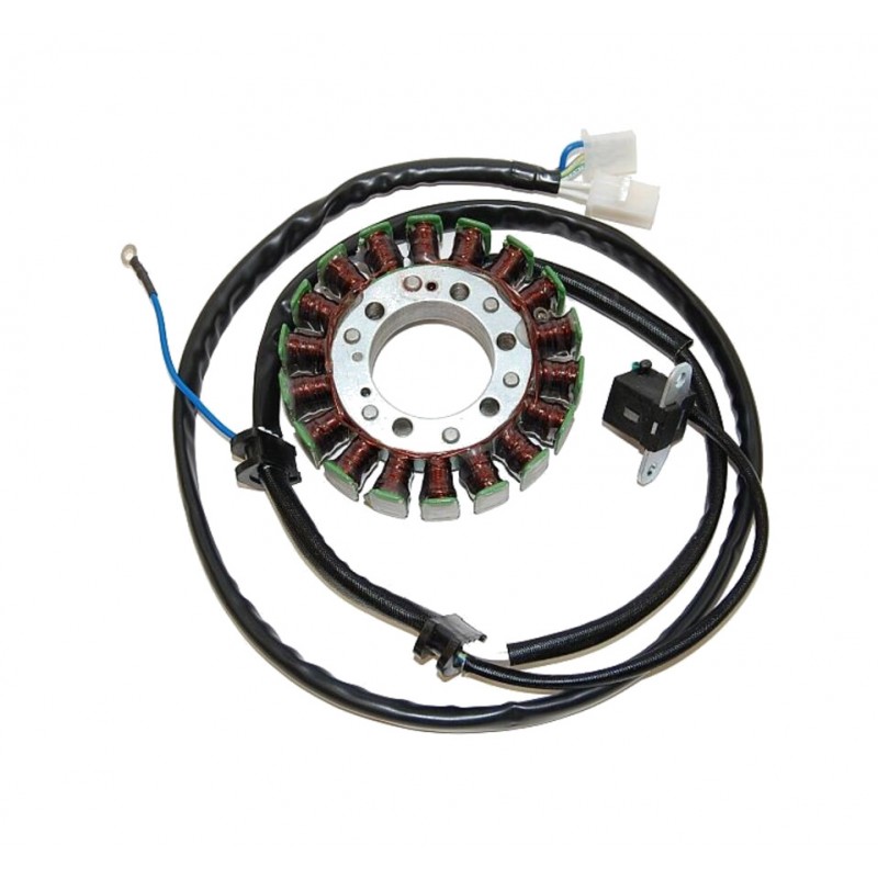ELECTROSPORT Alternator coil stator ESG 733 1140068