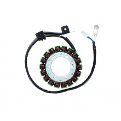 ELECTROSPORT Estator bobina alternador ESG 075 1140071