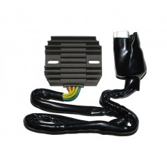 ELECTROSPORT Regulador corriente ESR 431 1140096