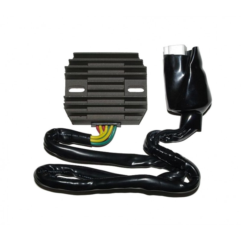 ELECTROSPORT Current regulator ESR 431 1140096