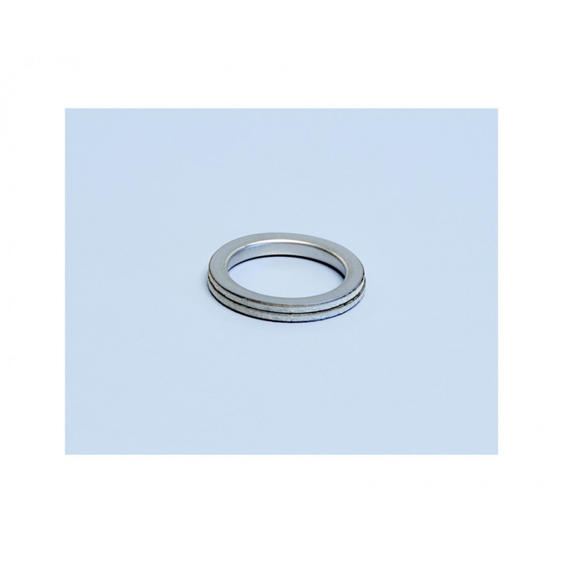 Exhaust gaskets (2520003)