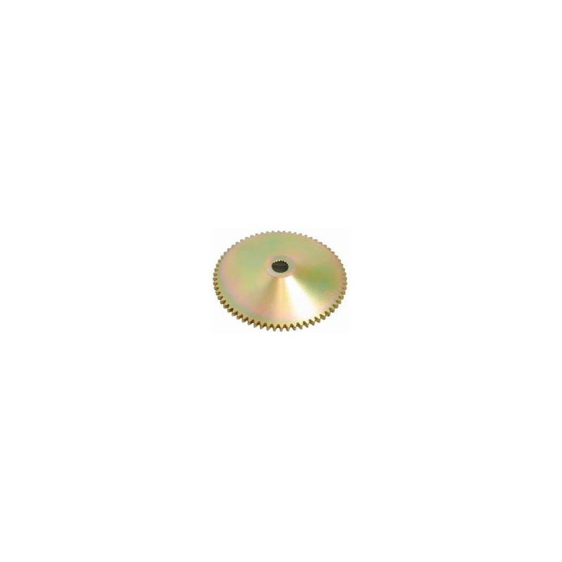 BUZZETTI Polea fija 2T-4T 50cc PI 479561 36604