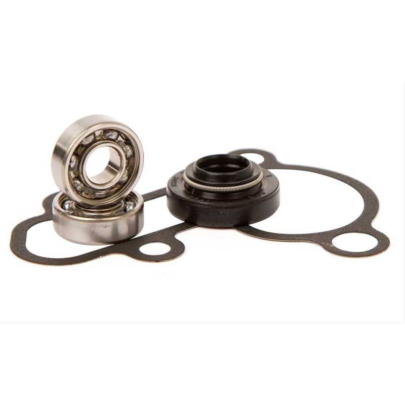 HOT RODS Kit reparación bomba de agua WPK0040 46071
