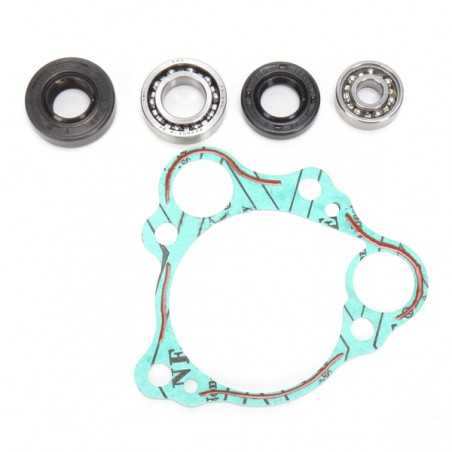 HOT RODS Kit reparación bomba de agua WPK0009 46072