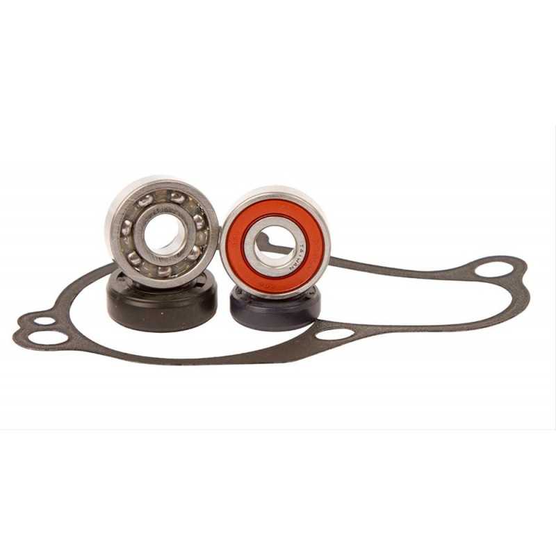Water pump repair kit  WPK0059