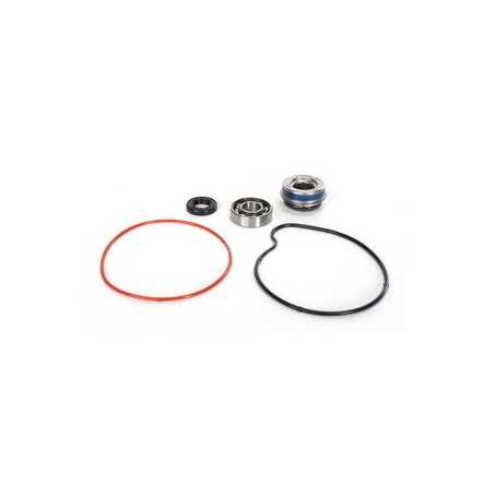 HOT RODS Kit reparación bomba de agua WPK0062 46076