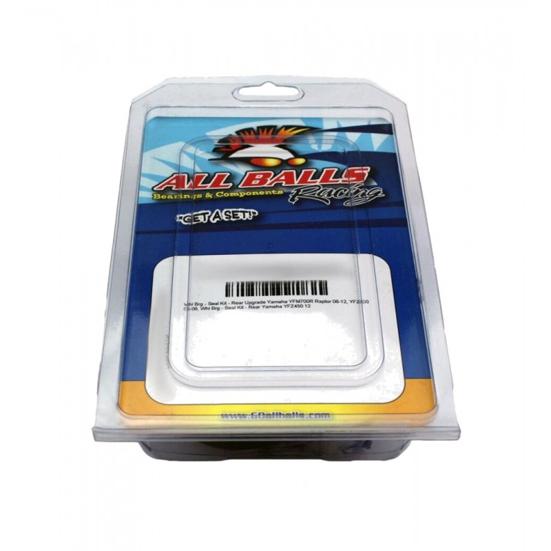 ALL BALLS Brake caliper repair kit 1146832