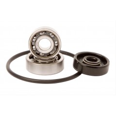 Water pump repair kit  WPK0047
