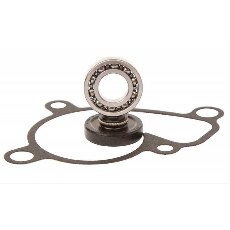 Water pump repair kit  WPK0041