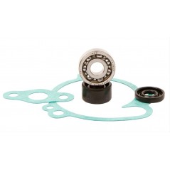 Water pump repair kit  WPK0039