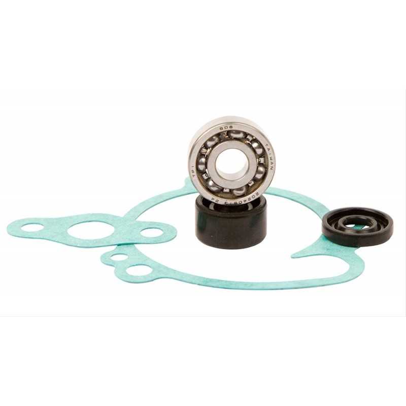 Water pump repair kit  WPK0039