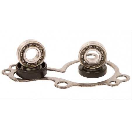 HOT RODS Kit reparación bomba de agua WPK0038 46096