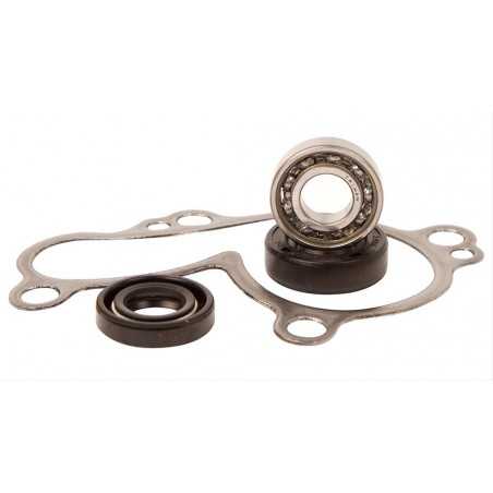 HOT RODS Kit reparación bomba de agua WPK0037 46097