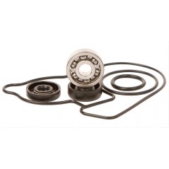 Water pump repair kit  WPK0036