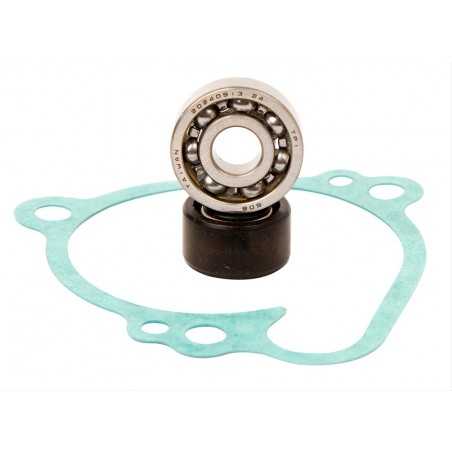 HOT RODS Kit reparación bomba de agua WPK0031 46101