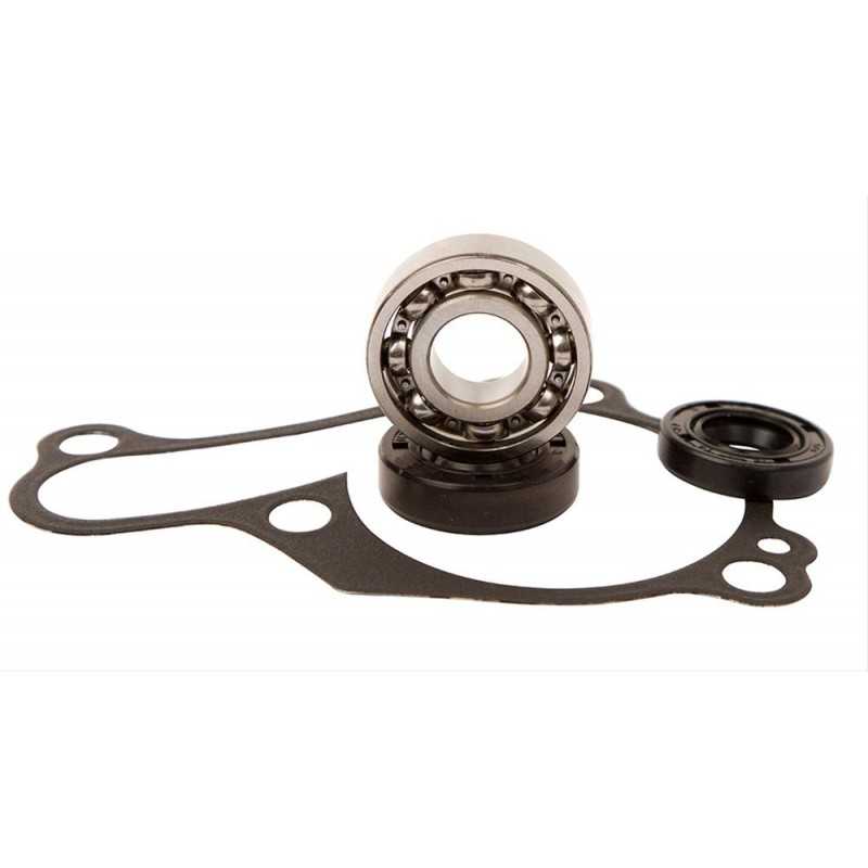 Water pump repair kit  WPK0029
