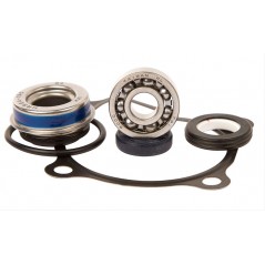 HOT RODS Kit reparación bomba de agua WPK0023 46108