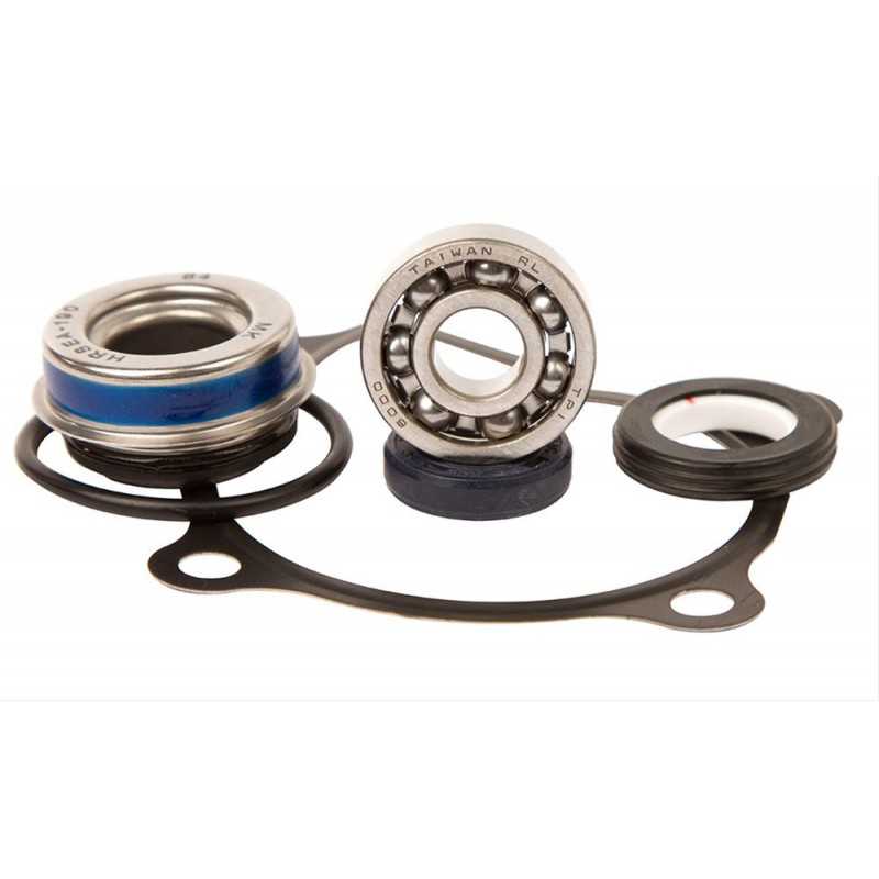 HOT RODS Kit reparación bomba de agua WPK0023 46108