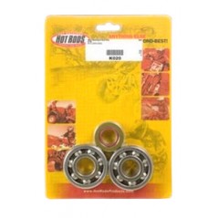 Crankshaft bearings and seals  K020