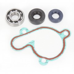 Water pump repair kit  WPK0022
