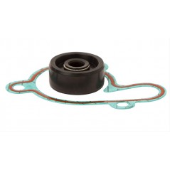 Water pump repair kit  WPK0021