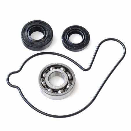 HOT RODS Kit reparación bomba de agua WPK0015 46115