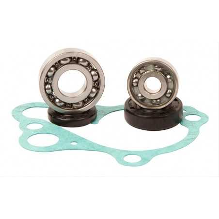 HOT RODS Kit reparación bomba de agua WPK0008 46121