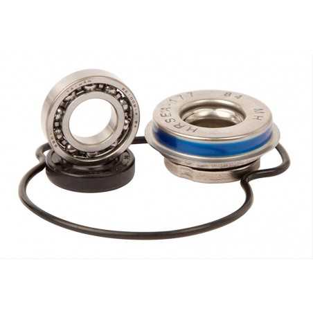 HOT RODS Kit reparación bomba de agua WPK0007 46122