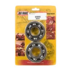 Crankshaft bearings and seals  K051