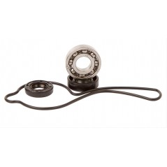 Water pump repair kit  WPK0005