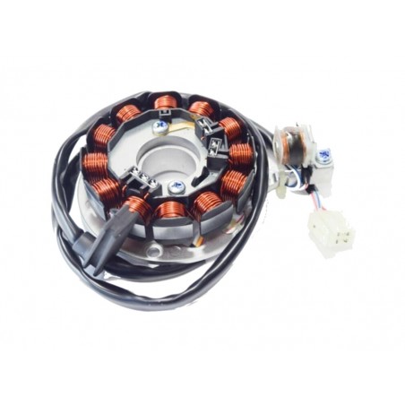 TOP PERFORMANCES Twelve coil stator 1127359